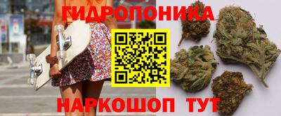 прущие грибы Апрелевка