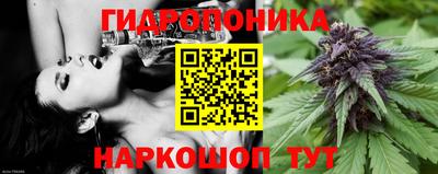 прущие грибы Апрелевка