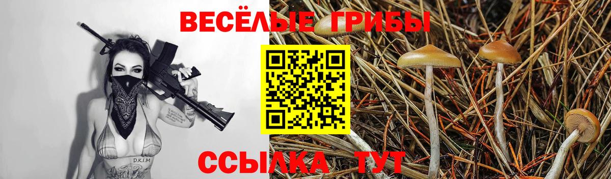 Псилоцибиновые грибы MAGIC MUSHROOMS  Галлюциногенные грибы мухоморы  Вход с VPN  Белогорск 